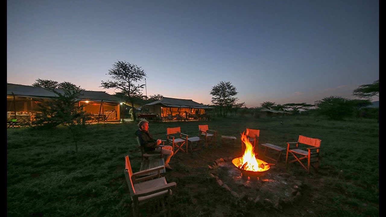 African Safari experience
