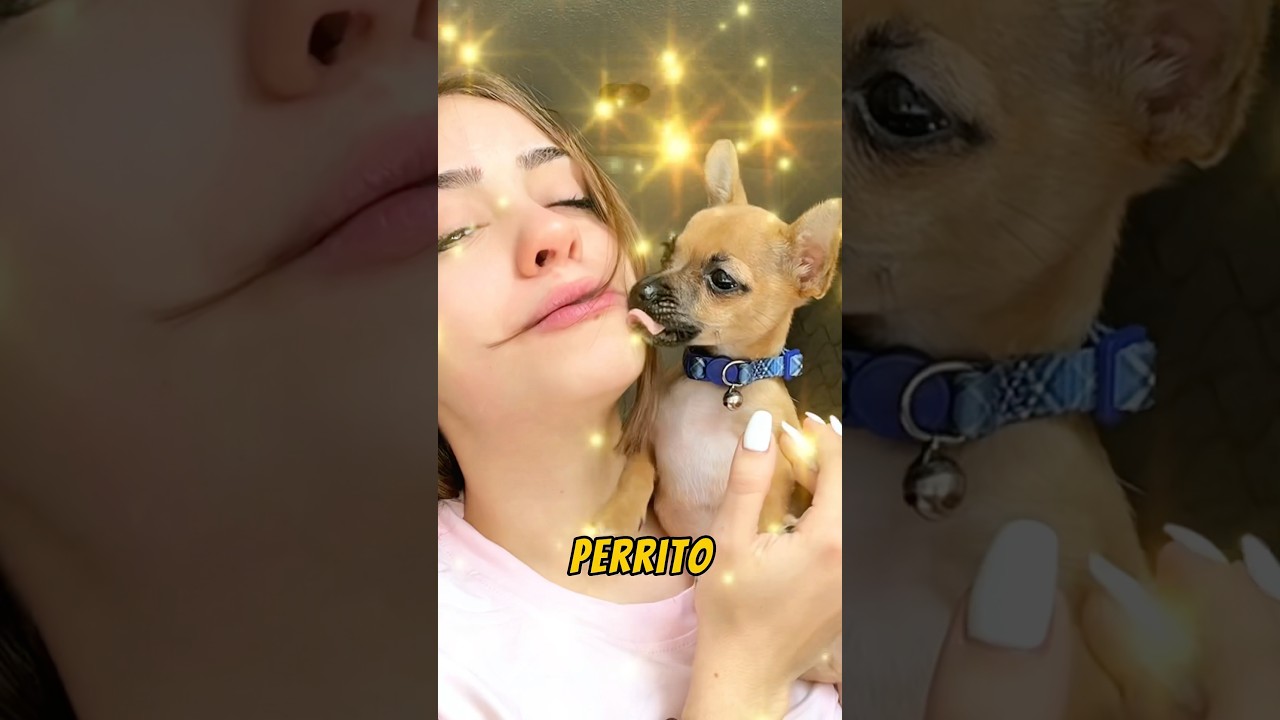 CAMBI&Eacute; A MI PERRO POR CAPI❤️