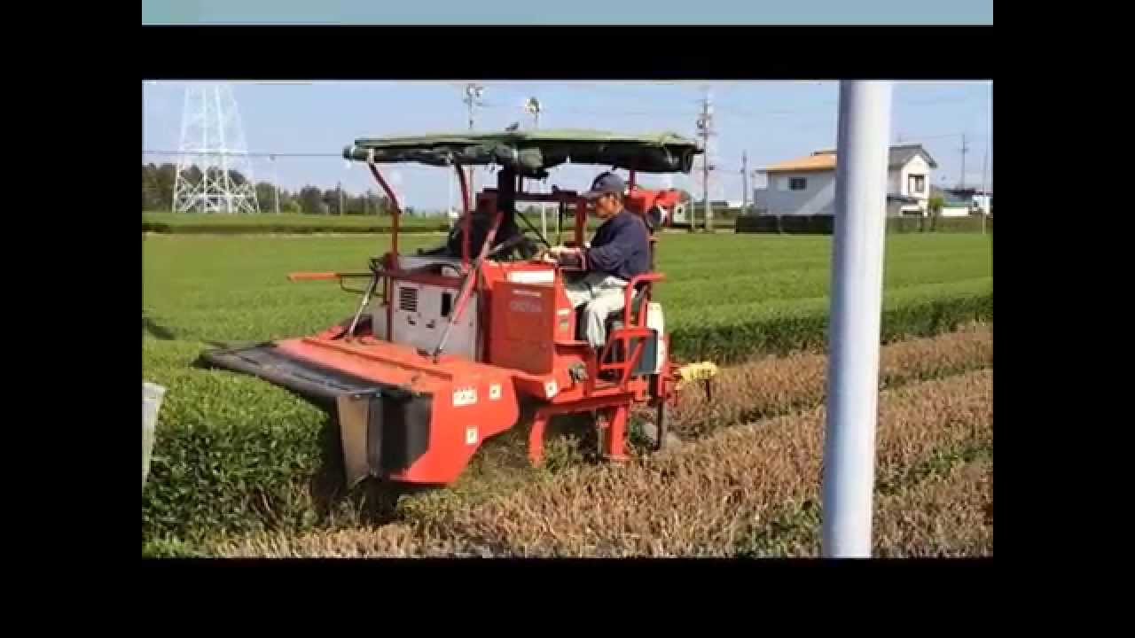 RIDING TYPE PRUNING MACHINE OMT-6