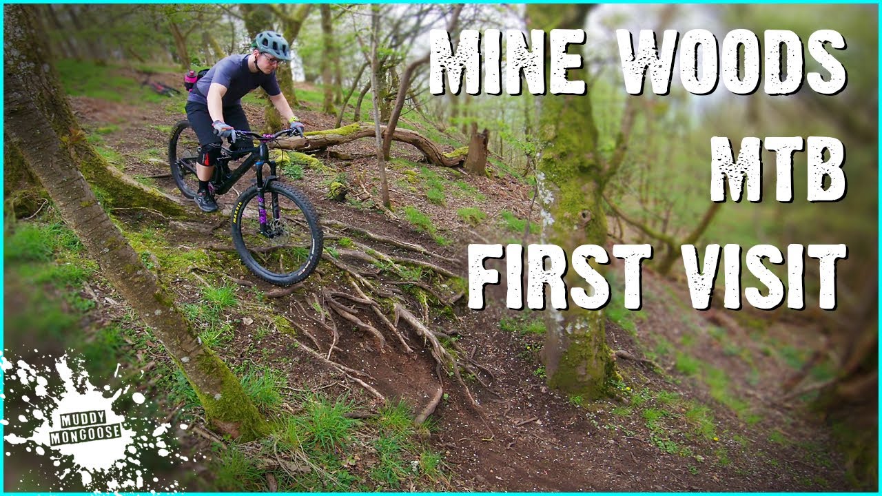Mine Woods MTB - First Visit - Stirling MTB