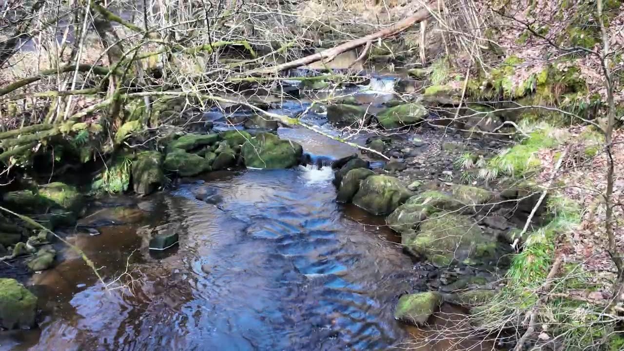Hareshaw Linn Waterfall in Northumberland