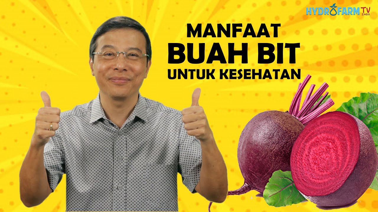 MANFAAT BUAH BIT UNTUK KESEHATAN !