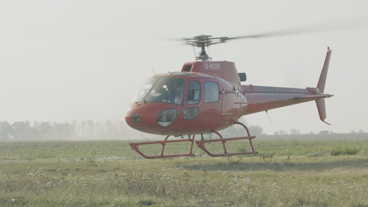 Wie Helikopter bei der Züchtung von Maissorten helfen