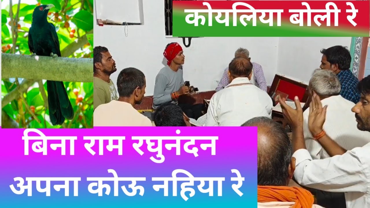 #Sanjeevpatel कोयलिया बोली रे !!  आमवा की डाल मा कोयलिया बोली रे !! Koyaliya Boli Re Aamva Ki Dal Ma