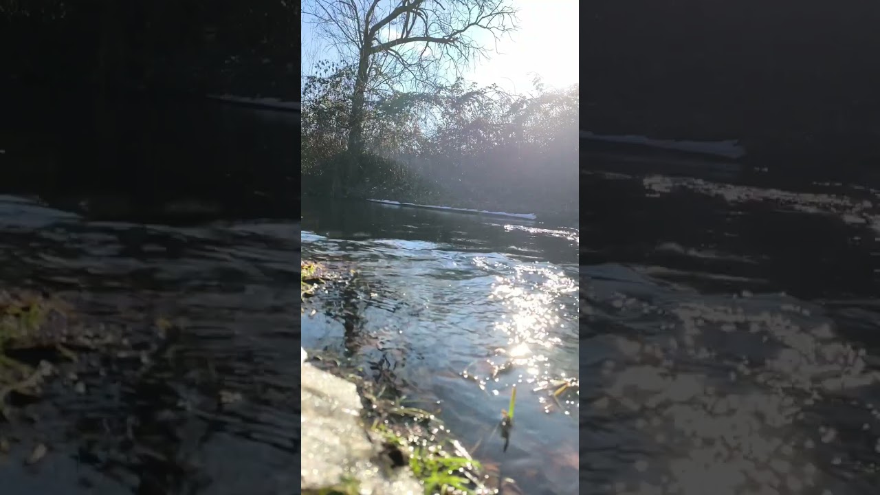 “Let the gentle flow of water wash away every worry and fill the moment with calm.”