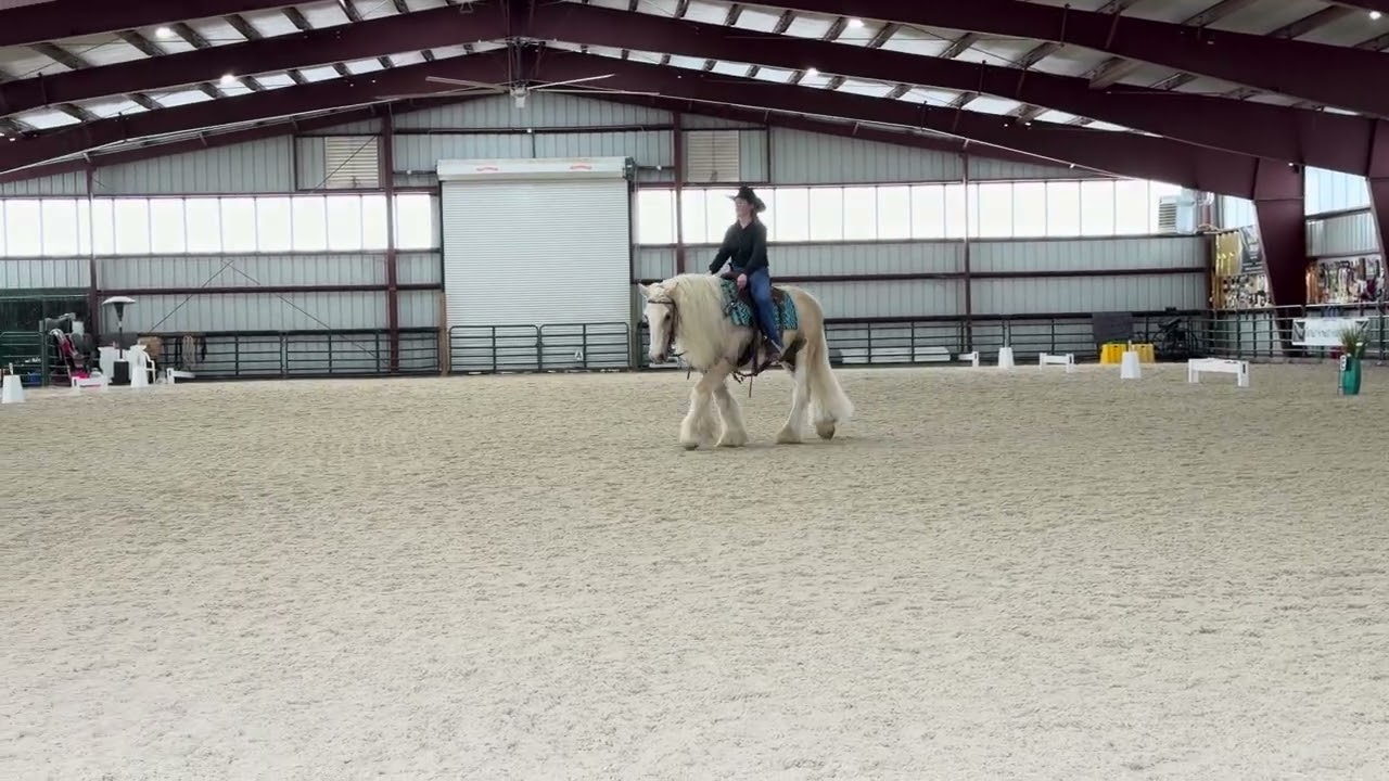 CAWDA Snowflake Horse Show 2026 #6382 Golden Eldorado Tierra Osborne 