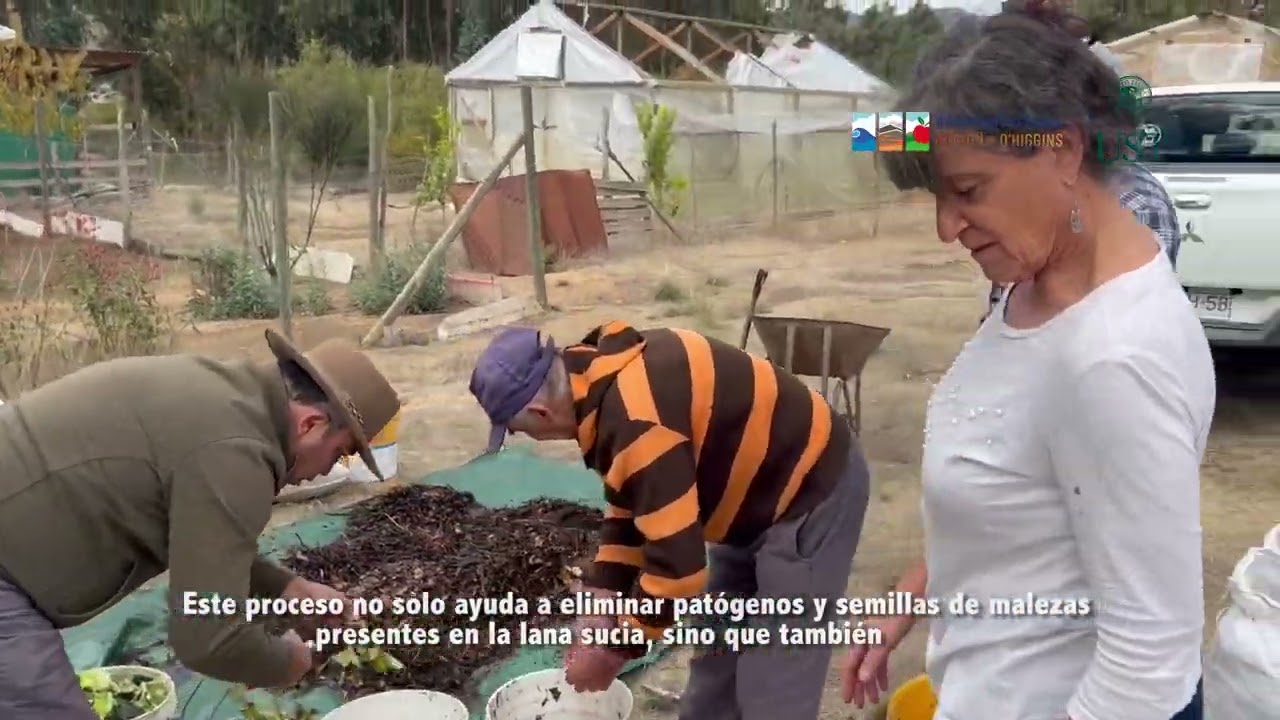 COMPOST CON LANA DE OVEJA
