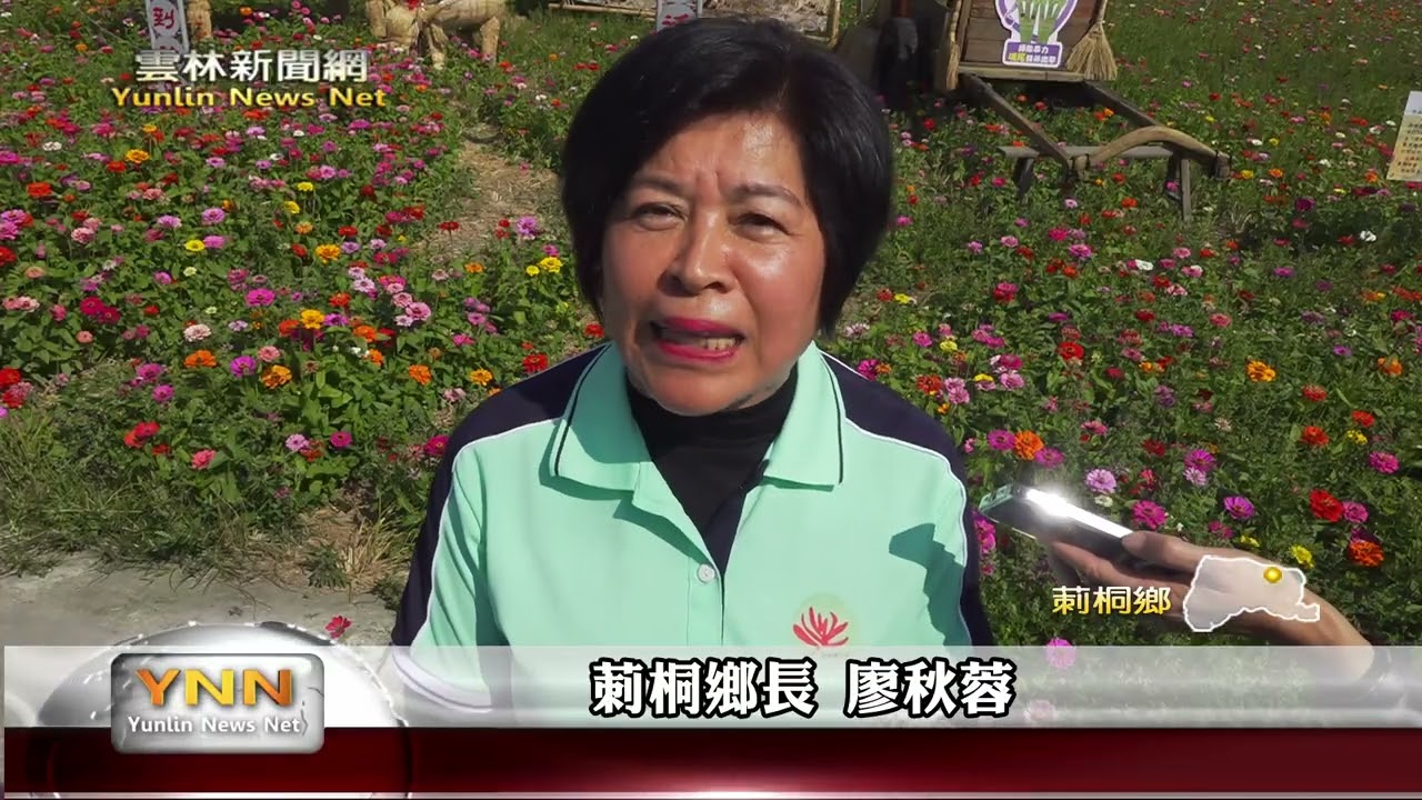 莿桐30公頃花海迎春 初一至初五最佳賞花期-雲林新聞網