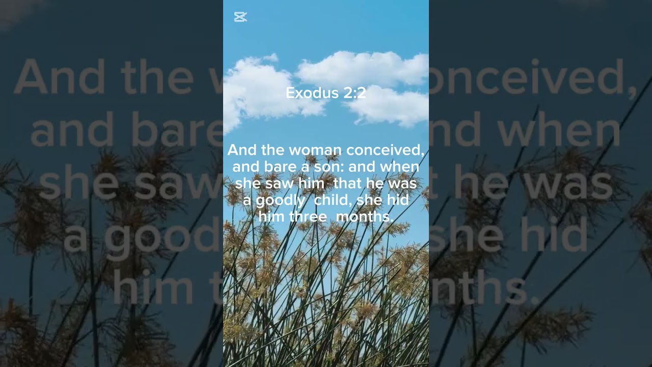 Our Bible reading for today is Exodus 2:2 