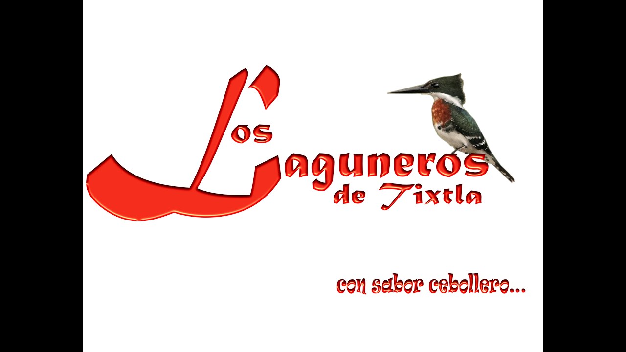 Los Laguneros de Tixtla   Popurri  Charanguero