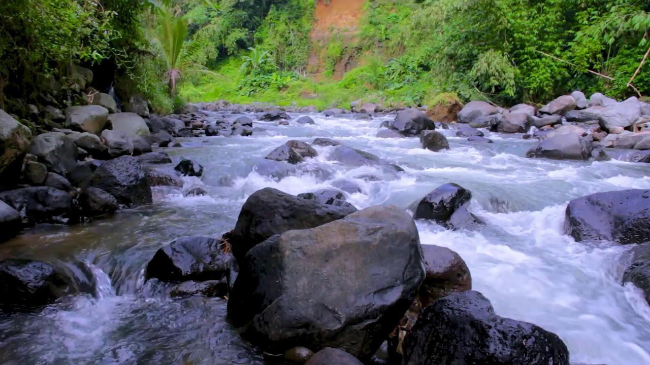 Continuous River Flow | Deep Sleep Natural White Noise for Insomnia Relief