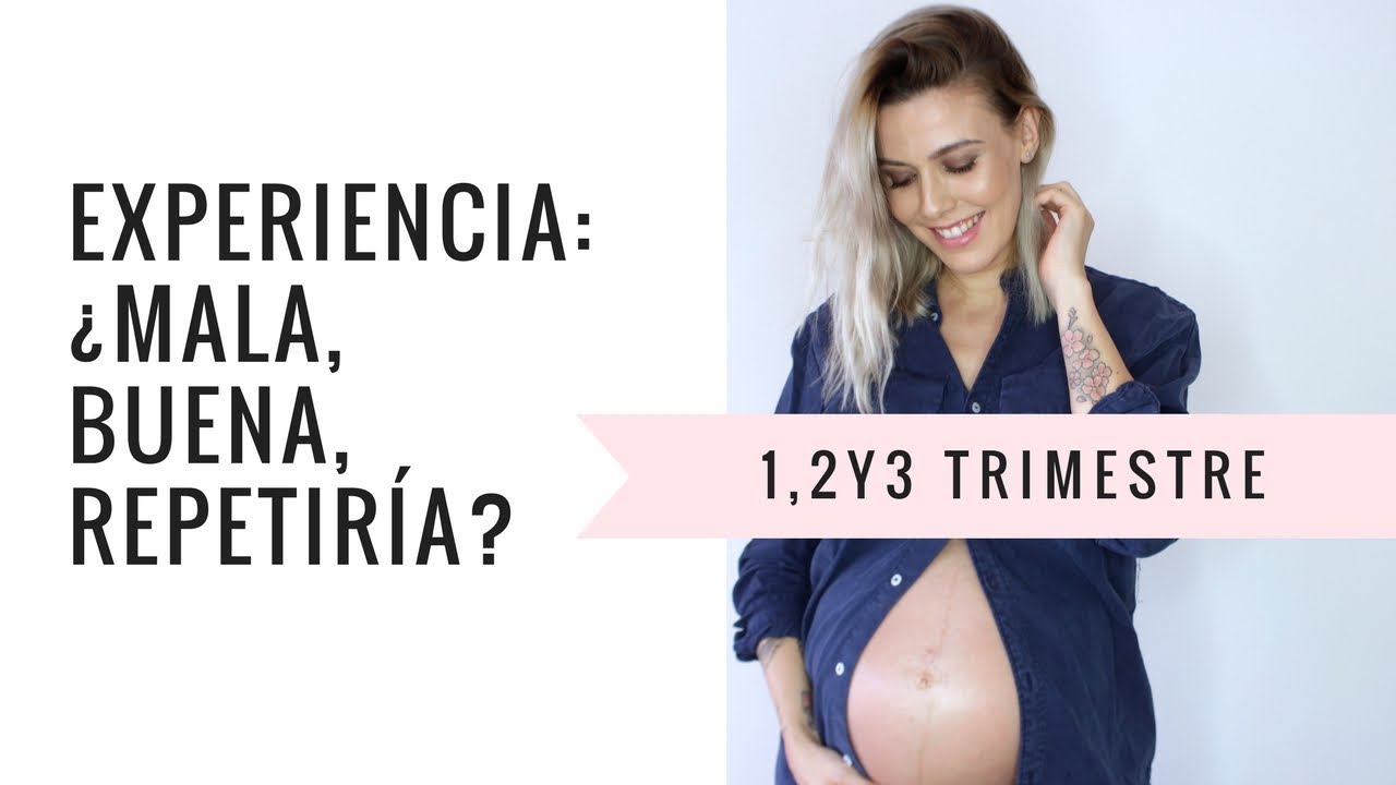 MI EMBARAZO POR TRIMESTRES: Experiencia | AISHAWARI.COM