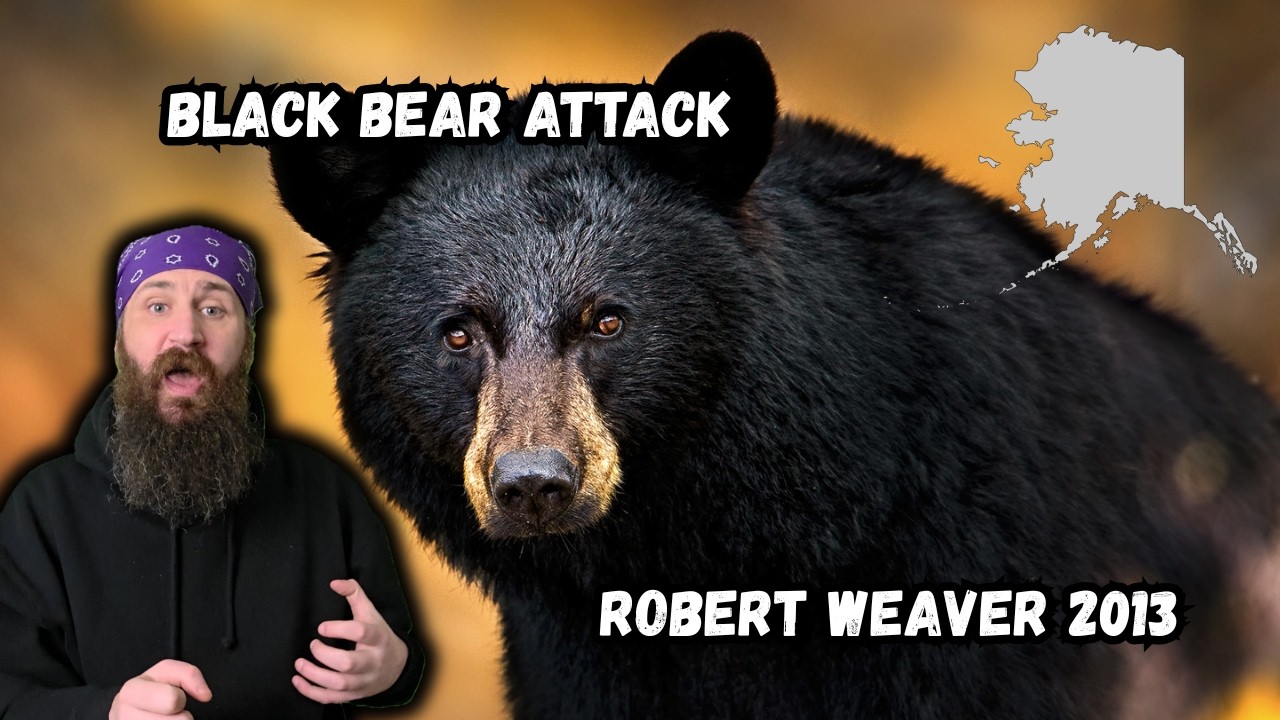 Robert Weaver - SAVAGE Black Bear Attack