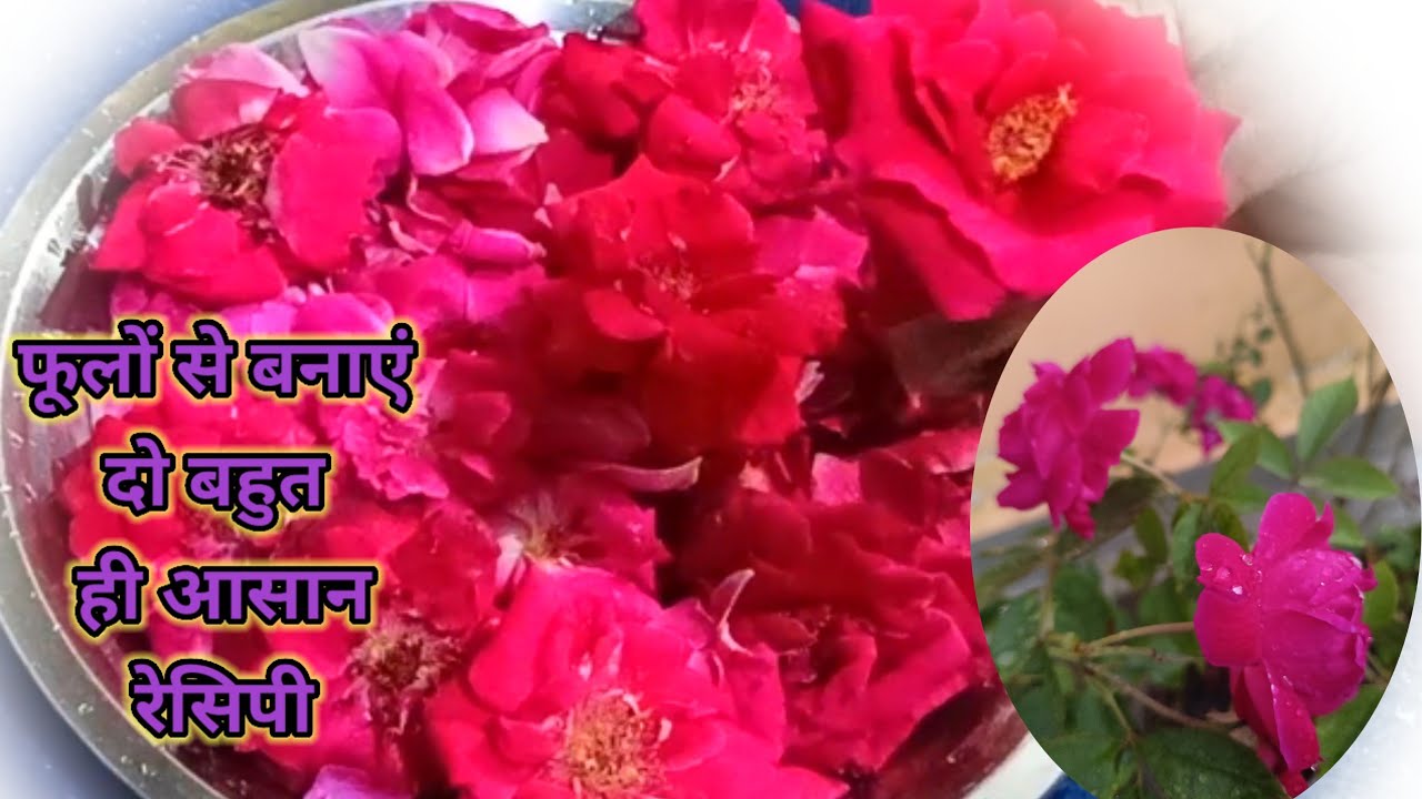 न फूड कलर, न प्रेसेर्वटिव अब कभी नहीं खरीदेंगे जब बनाएंगे घर में इतनी आसान सी रेसिपी | rose recipe 