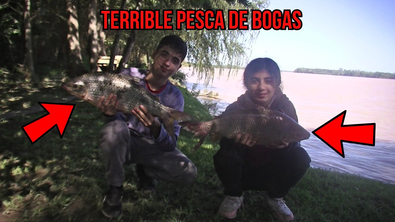 🐟PESCA de BOGAS en ENTRE RIOS &iexcl;IMPRESIONANTE!