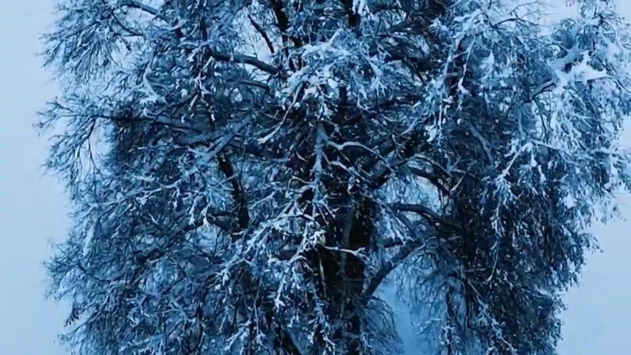 Verleih uns Frieden (Felix Mendelssohn Bartholdy)