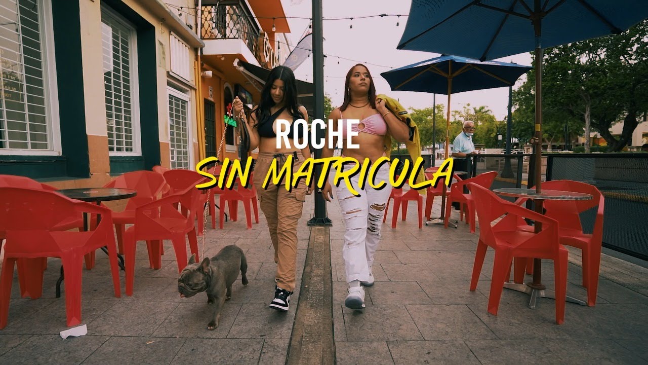 Roche - Sin Matricula