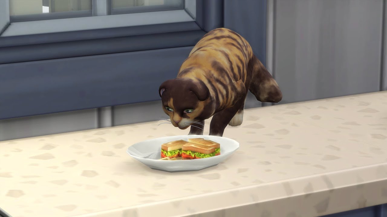 FREMDE KATZE IM HAUS #243 DIE SIMS 4 - GIRLS-WG - Let's Play The Sims 4