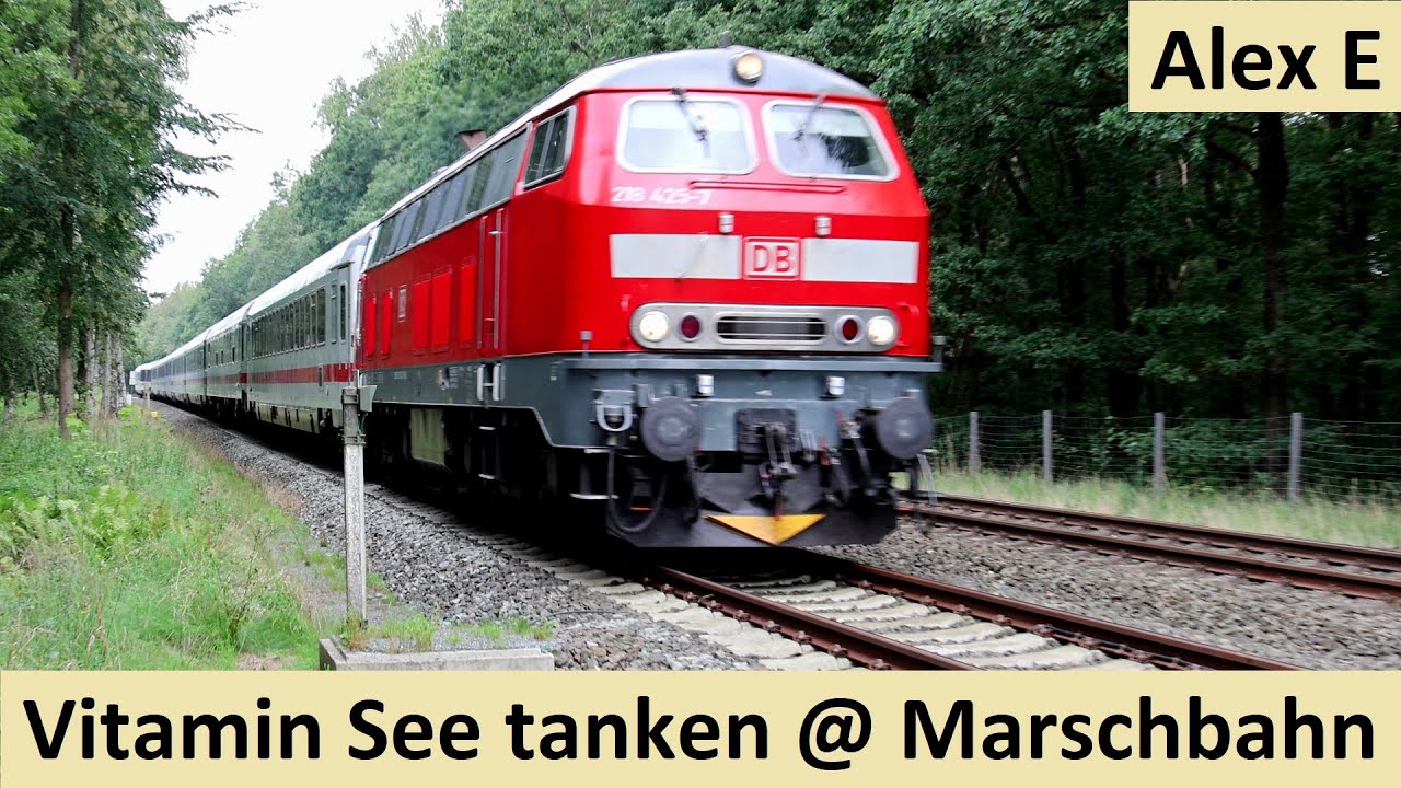 Vitamin See an der Marschbahn im Sommer 2023  |  Alex E