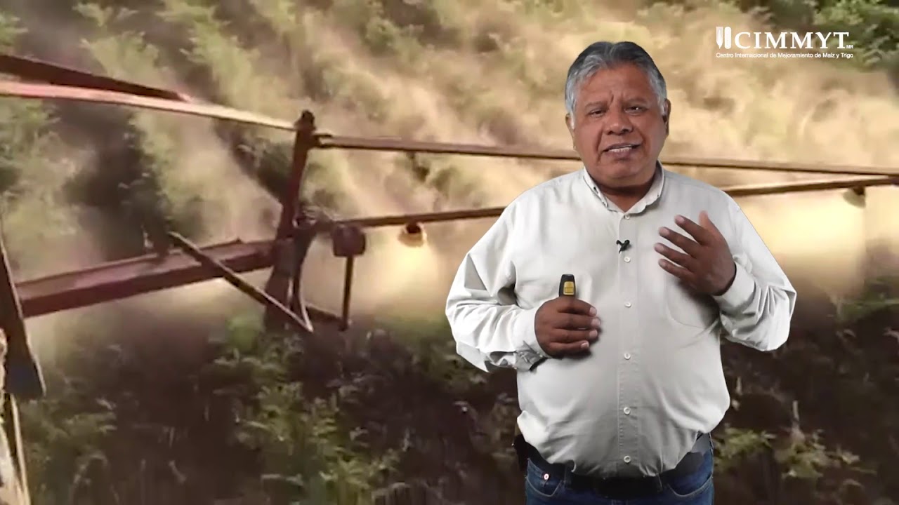 Adiós a los plaguicidas peligrosos