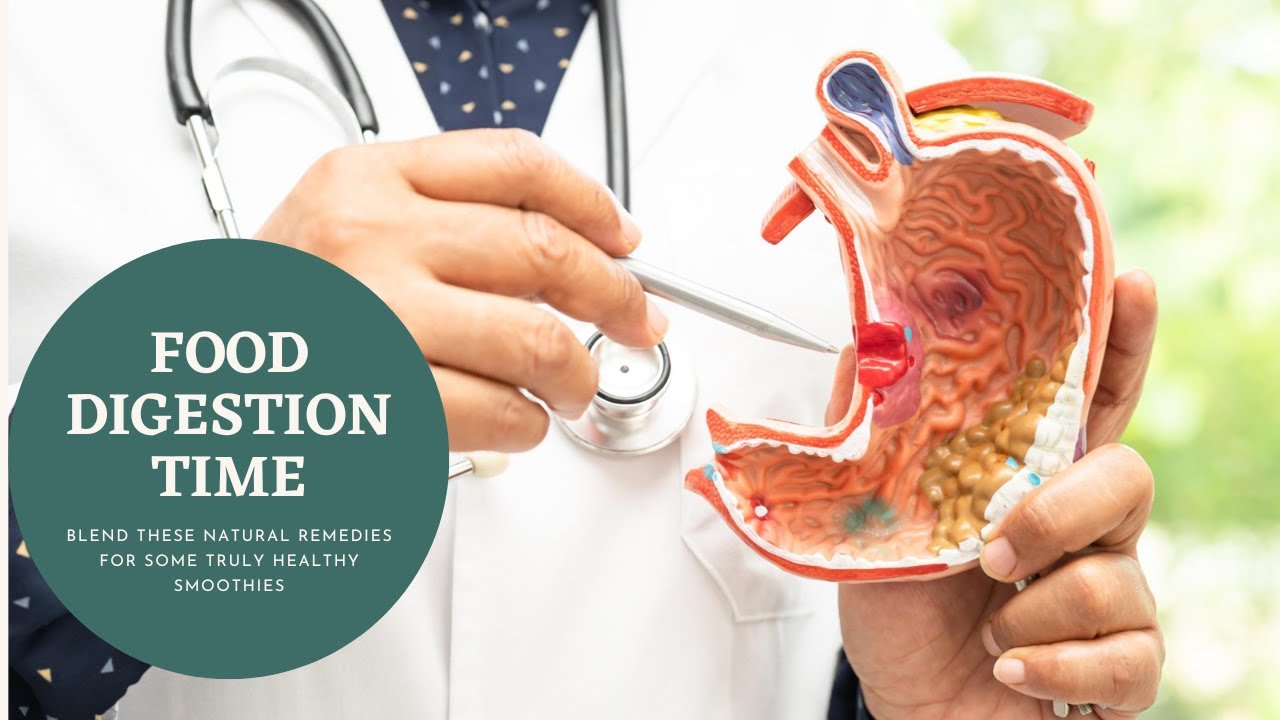 How Long Do Foods Stay in Your Stomach? | Digestion Time Explained