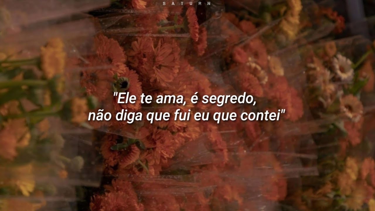 Carla Bruni- quelqu'un m'a dit (Tradução/legenda)
