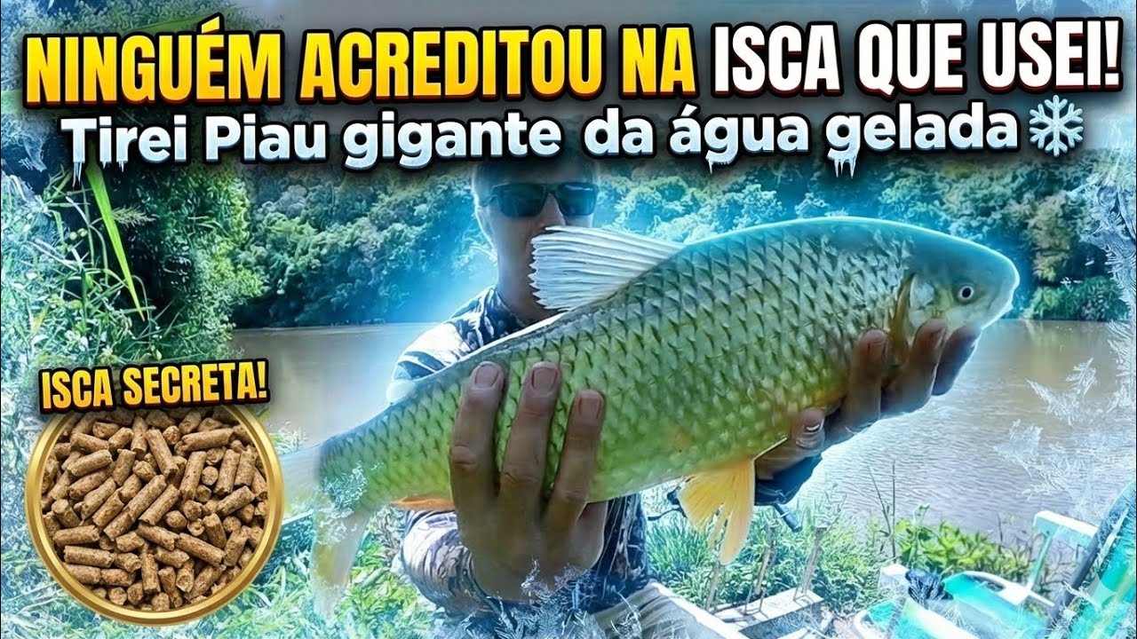 NINGUÉM ACREDITOU NA ISCA QUE USEI! Tirei Piau gigante da água gelada ❄️