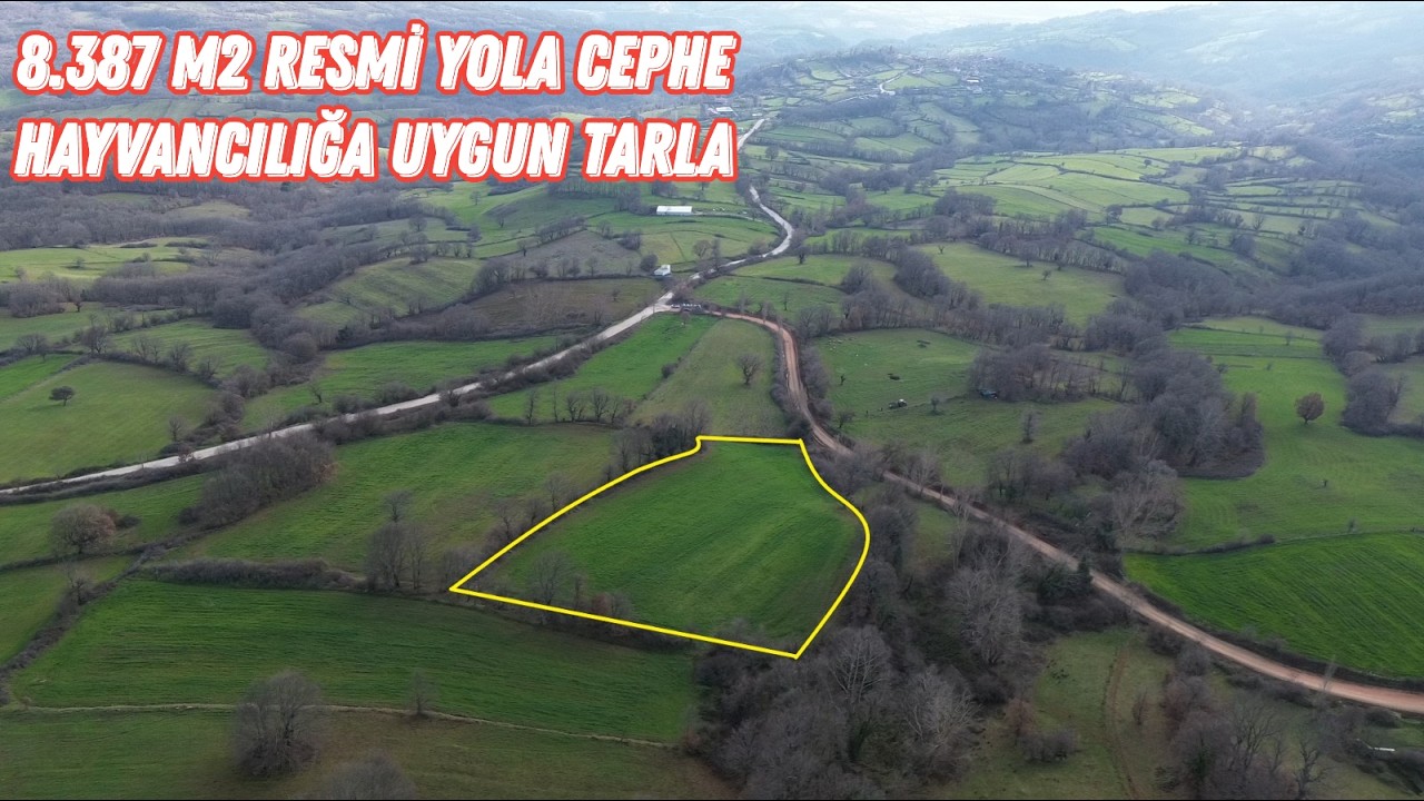 8.387 m2 RESMİ YOLA CEPHE HAYVANCILIĞA UYGUN TARLA