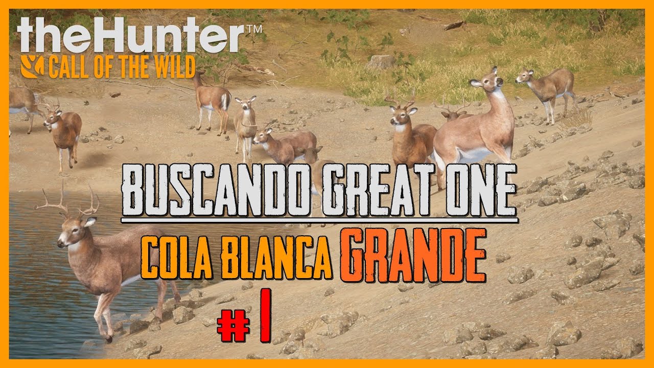 #1 BUSCANDO GREAT ONE DE COLA BLANCA CON CORNAMENTA GRANDE EN RANCHO DEL ARROYO | 🦌theHunter: CotW