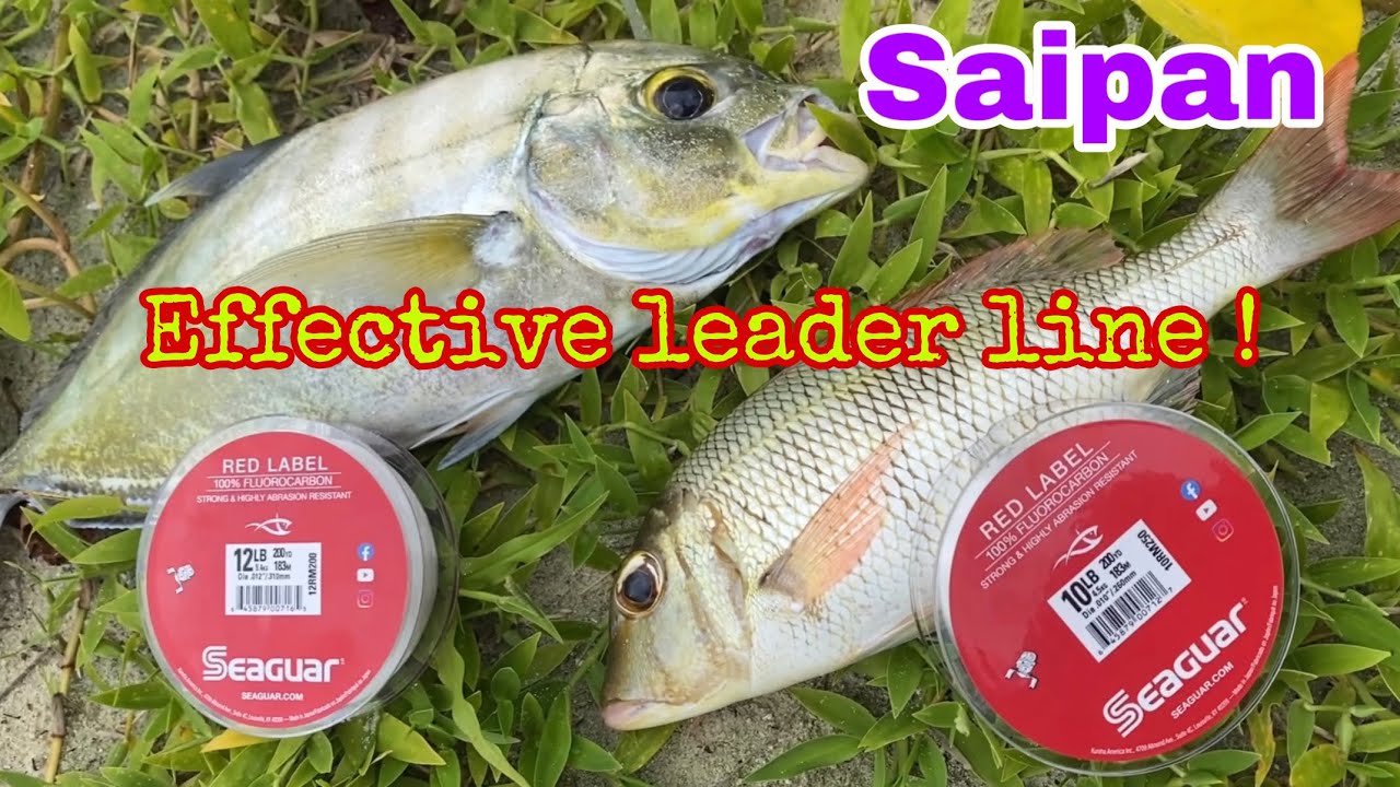 SHORE FISHING | EFFECTIVE LEADER LINE | #saipan #saipanvlog