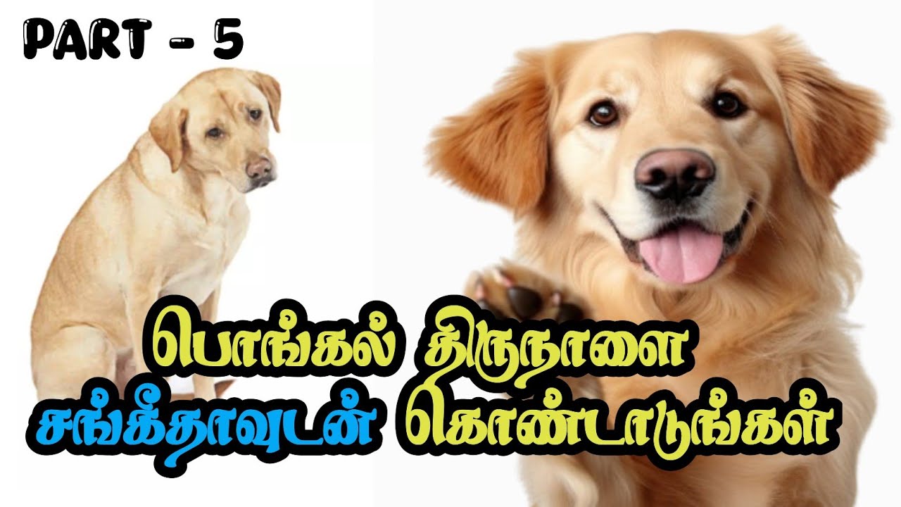 Part -  05 || கேப்டன் Vs  ராமராஜன்🤣🤣🤣