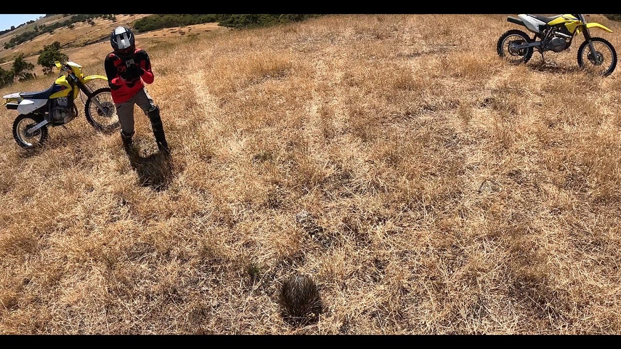 the fall on the mountain   part 1