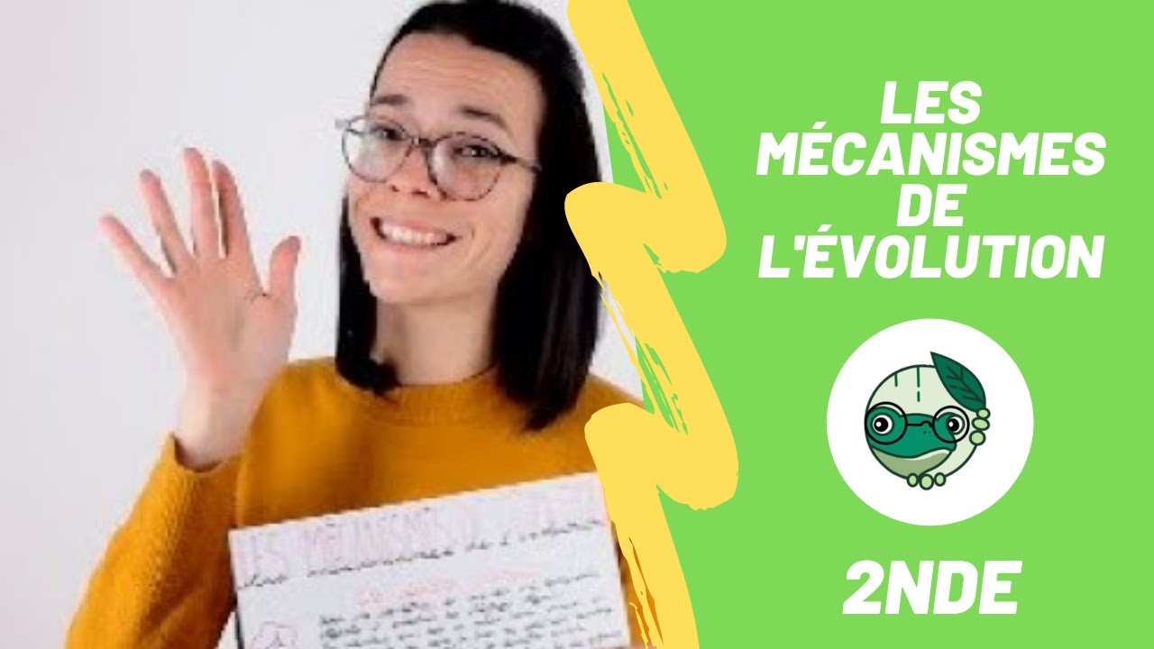 Les mécanismes de l'évolution - 2nde - Madame SVT