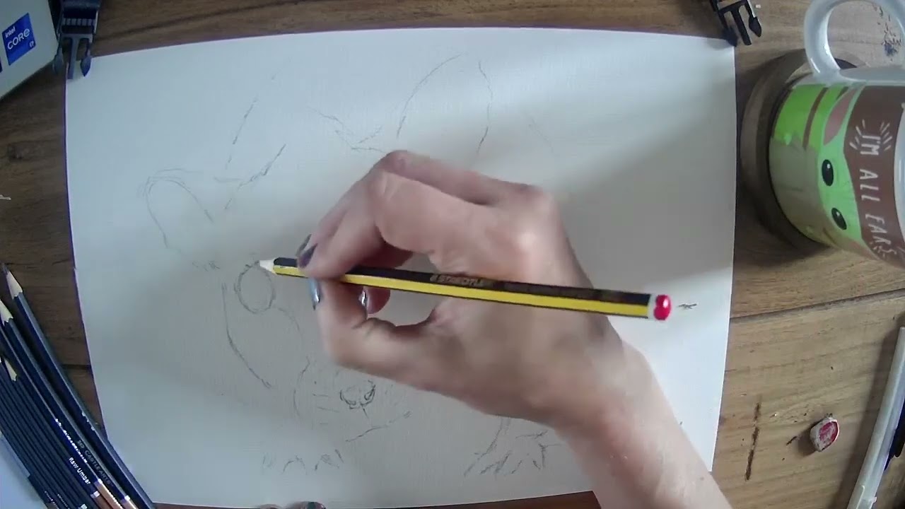 Drawalong with Pip - RODENTS - Fancy Rat