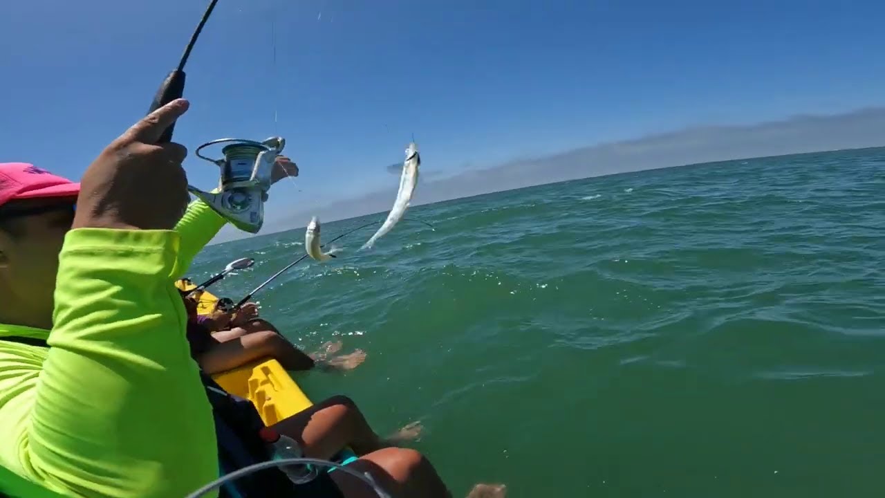 PEJERREY DE VERANO, LA MEJOR PESCA PARA LAS VACACIONES