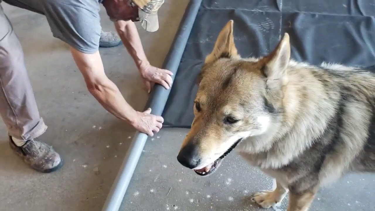 Step 12a:  Installing a water barrier with a pond liner in a pit greenhouse/Walipini