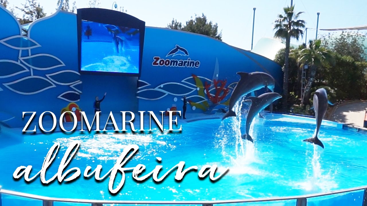 ZOOMARINE ALBUFEIRA ALGARVE | DOLPHIN SHOW | WATERPARK - This Mama Vlogs