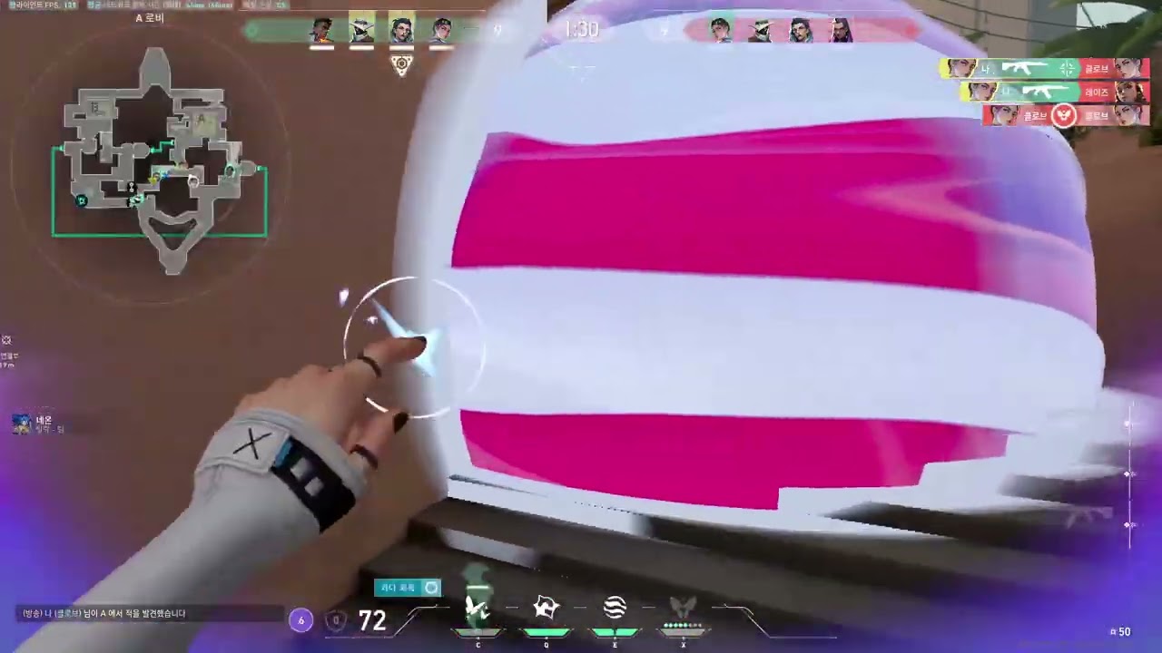 솔랭전사 개재성