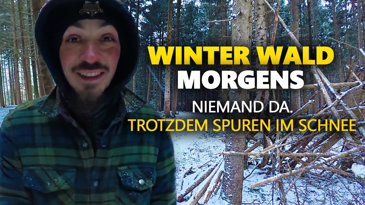 Winterwald am frühen Morgen Schnee Stille Spuren