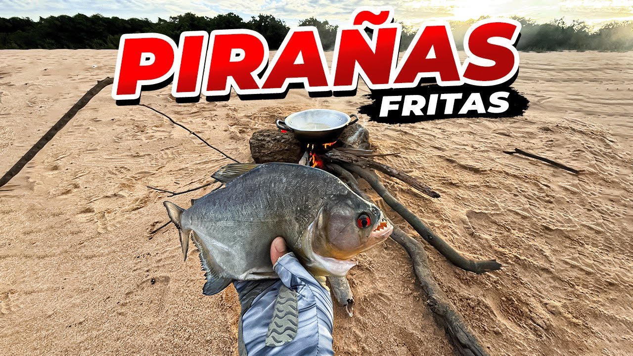 Pesca y cocina a la ORILLA de un RÍO || PIRAÑAS al DISCO