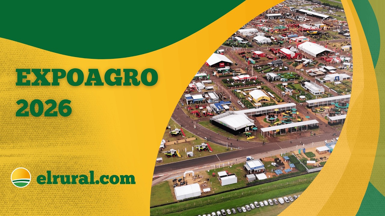 Ford se refuerza con nuevas versiones de Ranger y adelanta una híbrida nacional