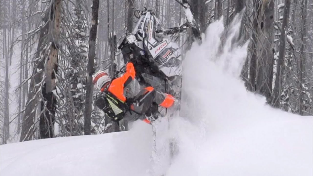 Tight Trees of The U.P.