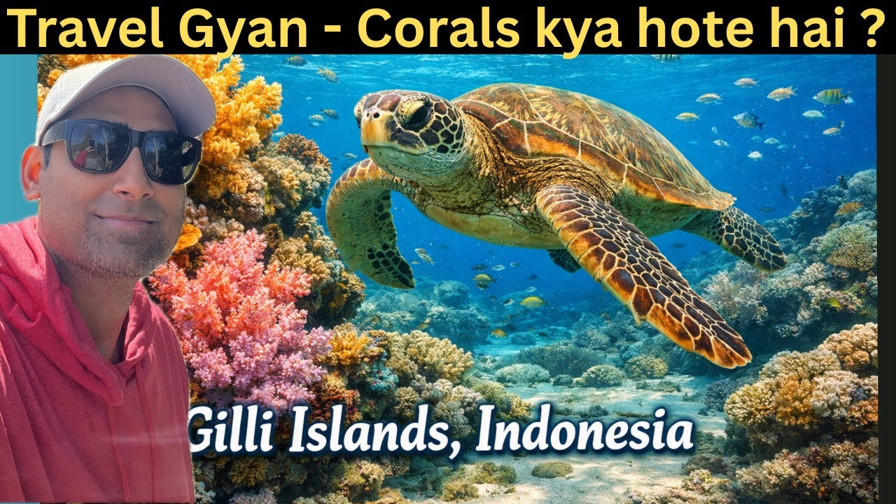 Exploring Gili Islands Underwater | Indonesia | | रंग-बिरंगे Coral Reef और Sea Turtle