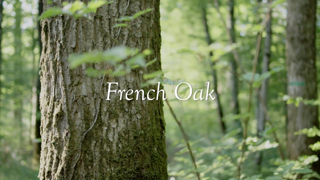 Tour the French Oak Forest