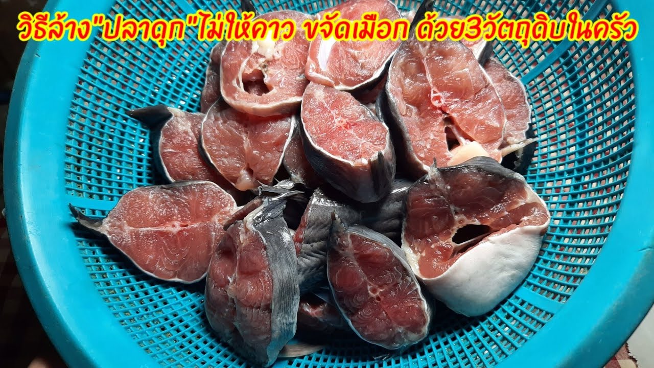 วิธีล้างปลาดุกสดไม่ให้คาวขจัดเมือกได้ดีเยี่ยมเพิ่มความอร่อยให้เนื้อปลาดุกก่อนนำไปปรุงอาหาร