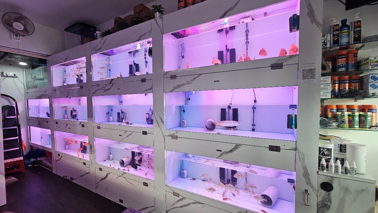 Zeus Aquatics Kharghar