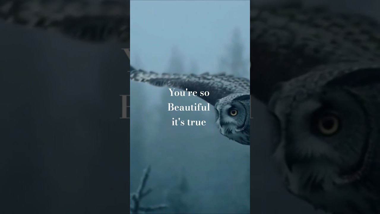 GAIA, my world, my home, and ode to mother earth 