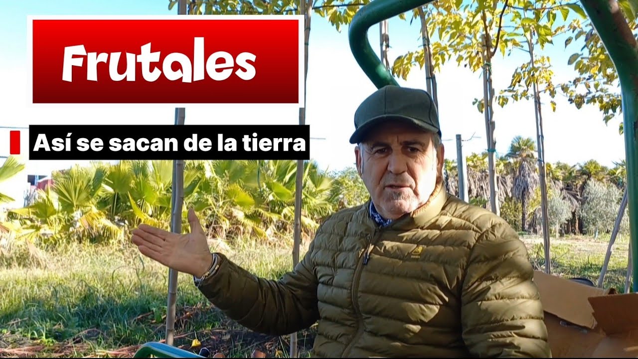 🍁⚙️ El impresionante ARRANQUE DE FRUTALES con cuchilla subterránea