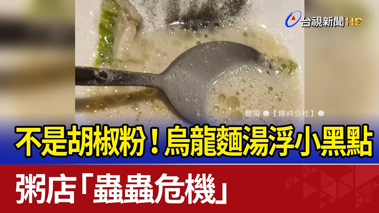 不是胡椒粉！烏龍麵湯浮小黑點 粥店「蟲蟲危機」