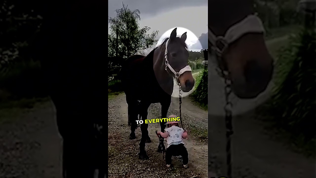 Horse&rsquo;s shocking reaction towards THIS! 🤯💛   #animals #horse  #dogs